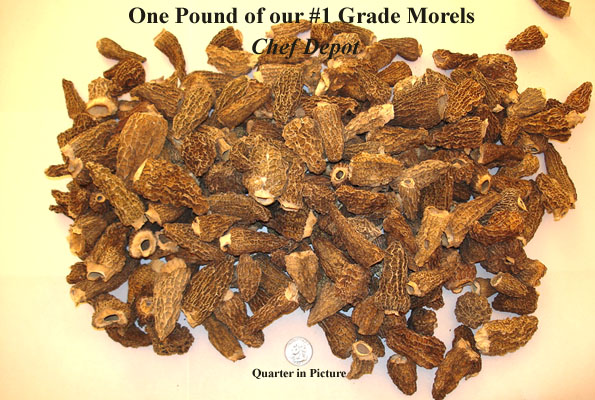 #1 Grade Dried Morel Mushrooms, Extra Clean, Hand Picked in the USA