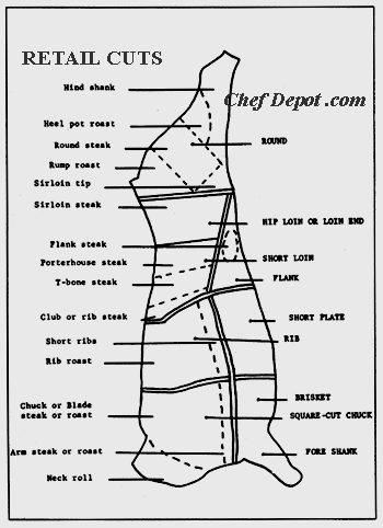 beef butcher chart