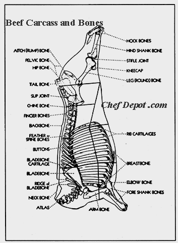 Moose Meat Cutting Chart