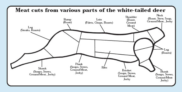 Meat On A Deer Chart