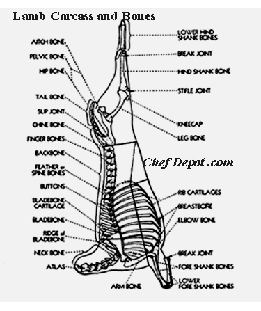 How To Butcher A Lamb Chart