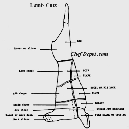 how to butcher steer and beef