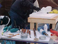 Ice Carving Tools