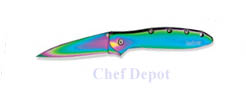 Rainbow Leek