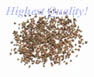 Celery Seed