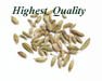 The Freshest Fennel Seed