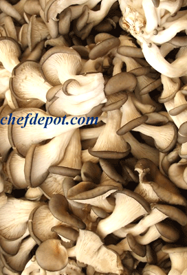 #1 Grade Dried Oyster Mushrooms, Extra Clean, Hand Picked and trimmed
