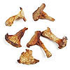 #1 Grade Dried Golden Chantrelles