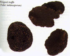 Select Italian Truffles