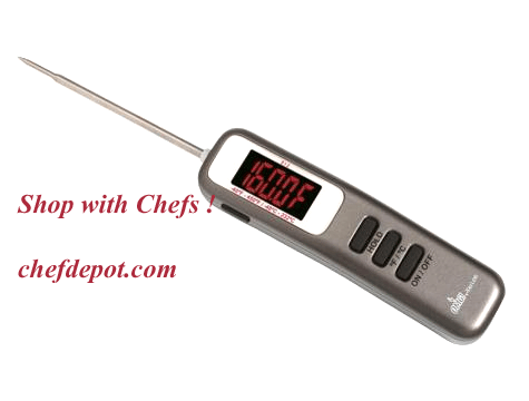 Folding Digital Thermometer