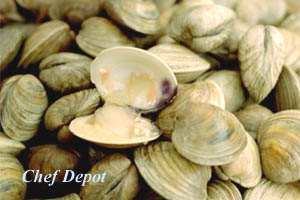 Best Clams