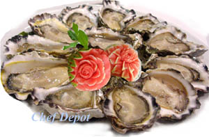 Best Oysters