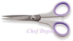 Titanium Scissors